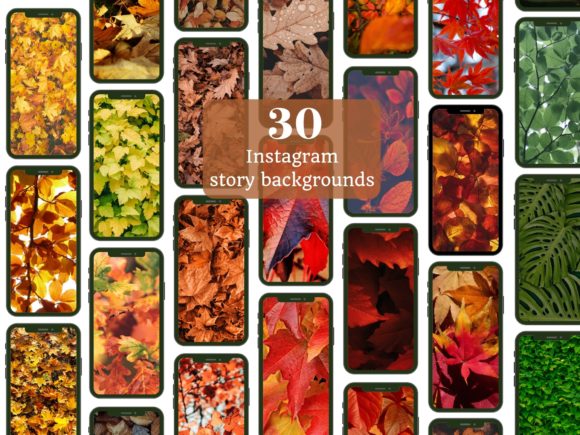 Download Autumn Leaves Instagram Story Background - Story background Collection